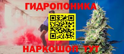 дурь Кимры